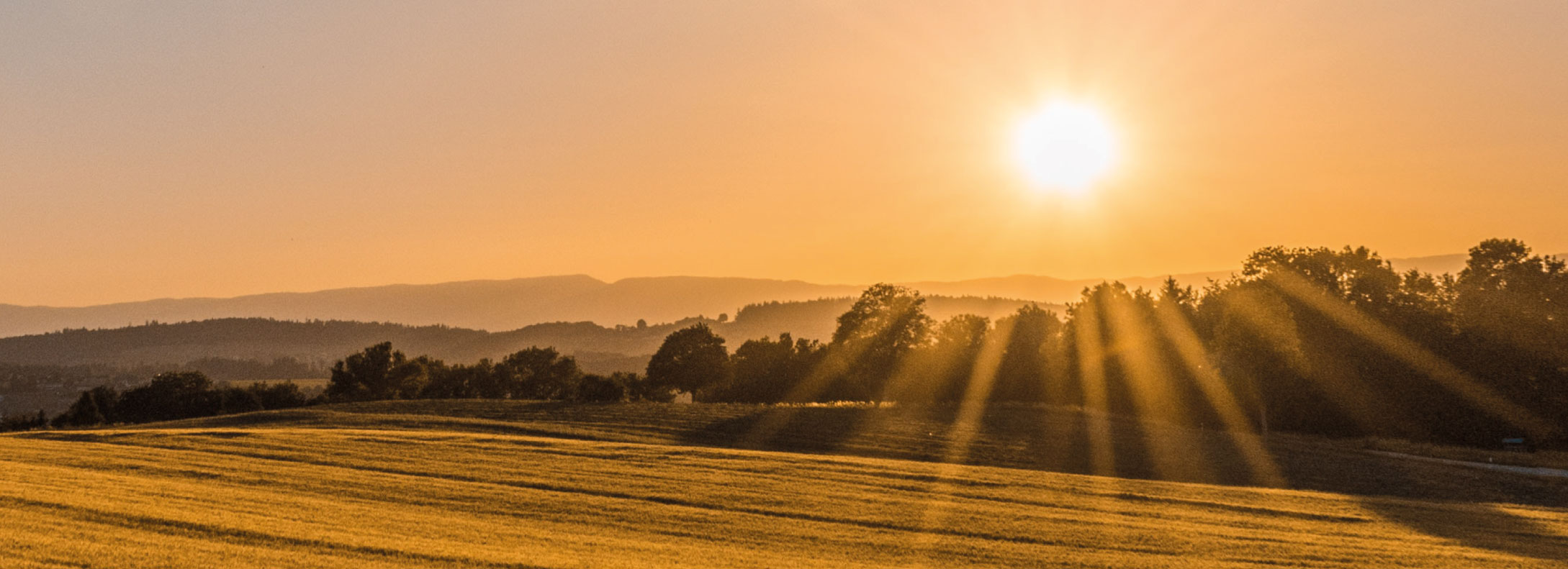 Chi più spende, meno spande - Chiediamoci sempre in che modo spendiamo 